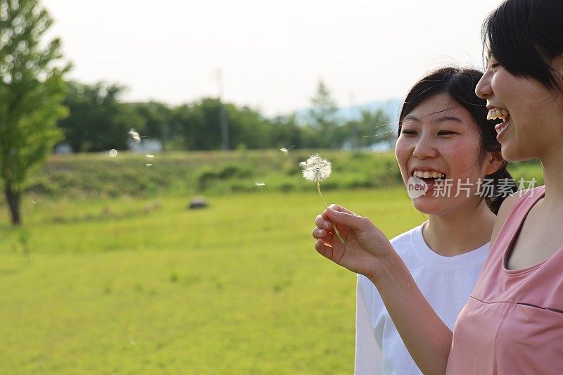 年轻女子吹蒲公英种子