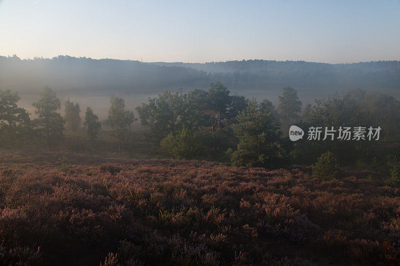 雾希思场景