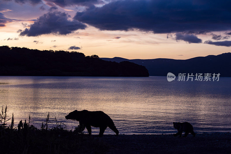 堪察加半岛千岛湖的日出，妈妈和棕熊宝宝