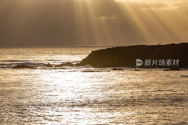 加州1号公路的海豹湾