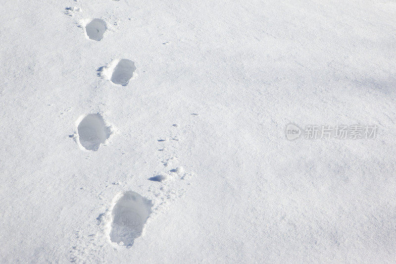 雪地里的脚印