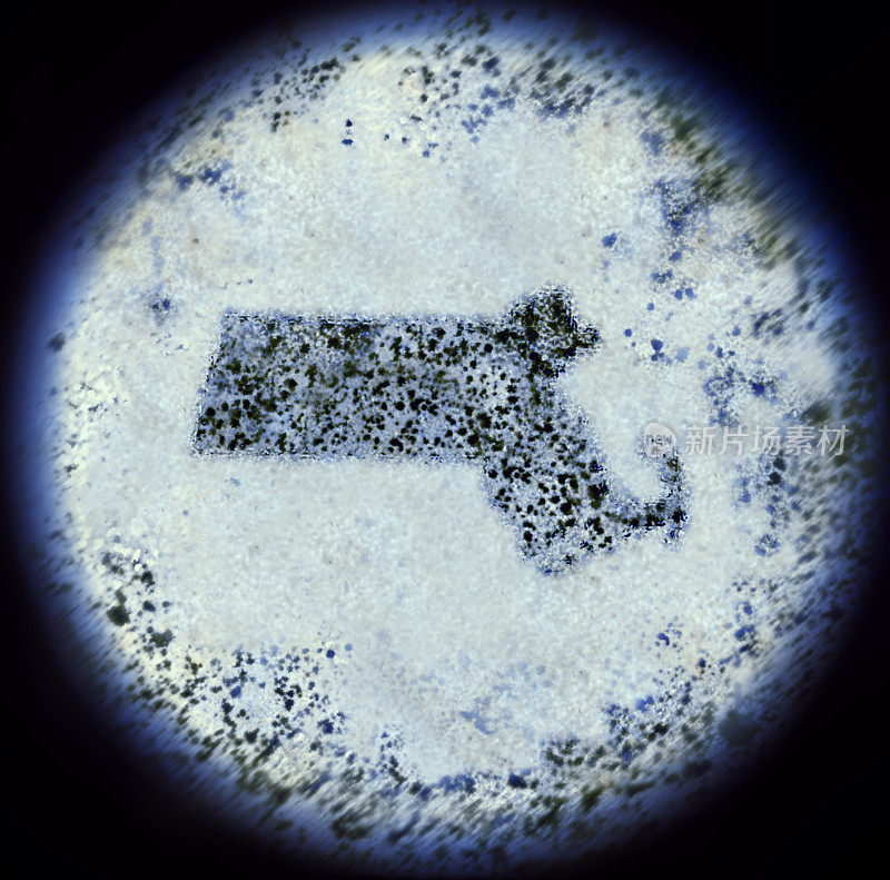 通过显微镜观察马萨诸塞州形状的细菌。(系列)