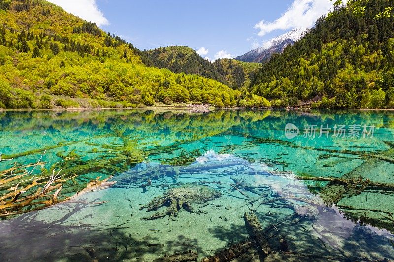 中国四川九寨沟的湖泊