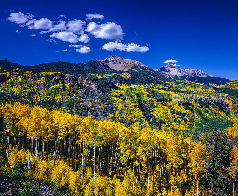 秋天的白杨和阳光峰落基山，CO