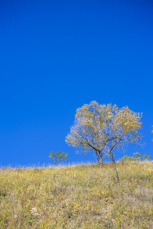 秋天的风景