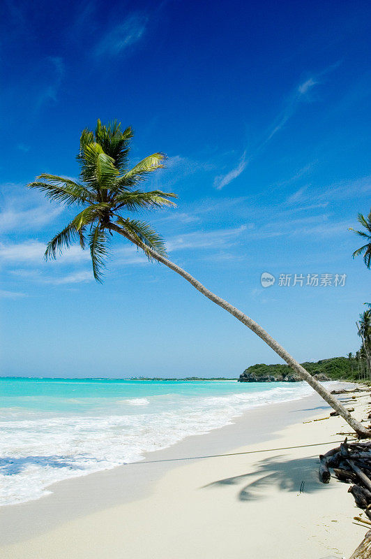 热带白色沙滩椰子树和绿松石水域