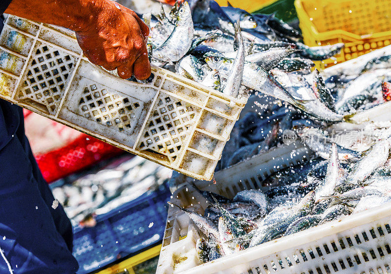 渔民在整理装鱼的容器