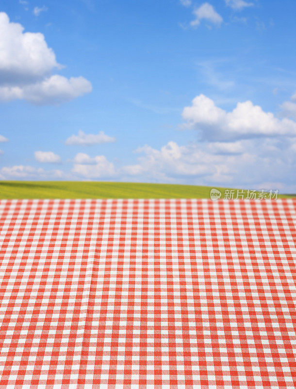 野餐桌上铺着红白格子的桌布