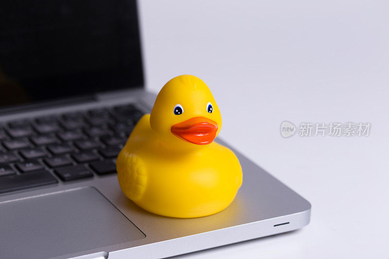 黄色的鸭子玩具在笔记本电脑上