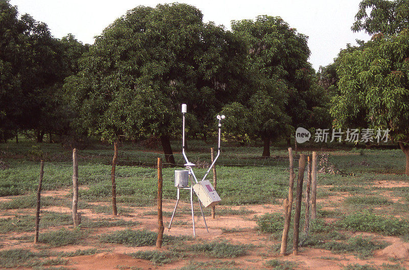 雨量计气象站芒果果园西非布基纳法索