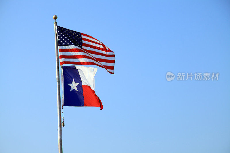 德克萨斯和美国国旗