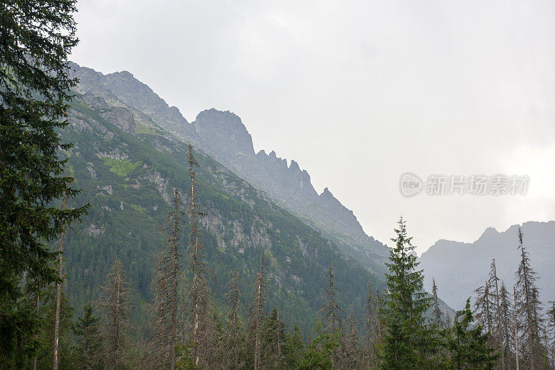 塔特拉峰会