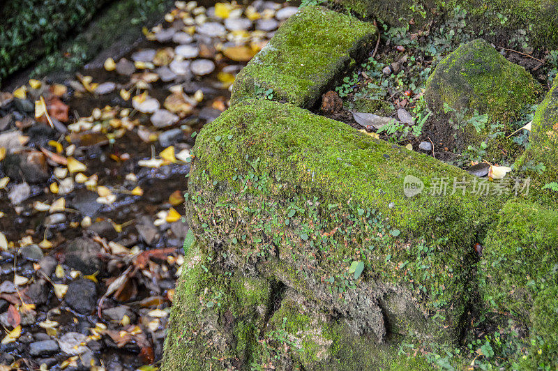 苔藓覆盖的岩石在日本花园