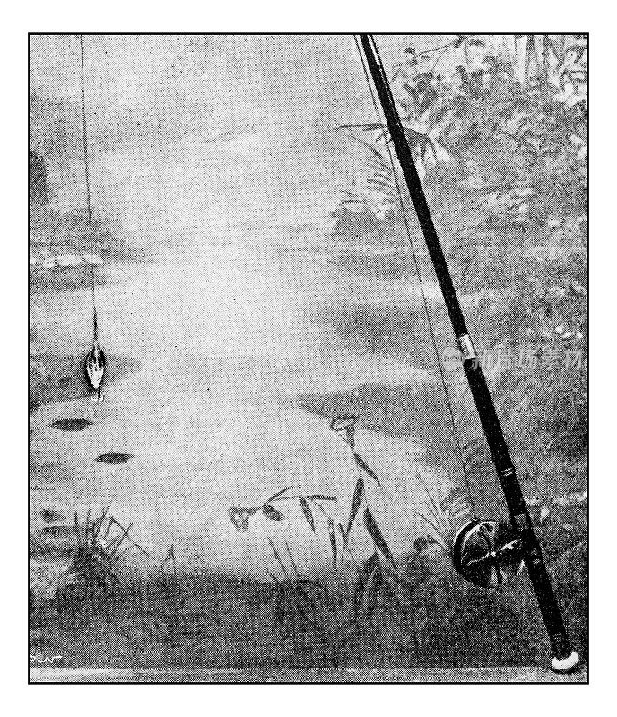 爱好和运动的古董点印照片:钓鱼竿