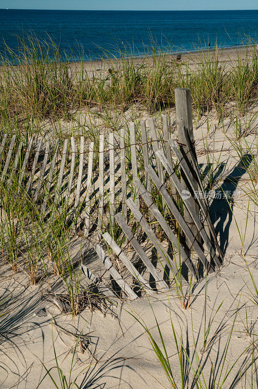 海滩栅栏