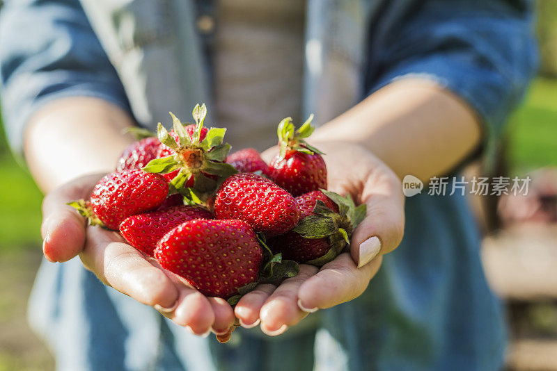 草莓能让任何一天都更甜