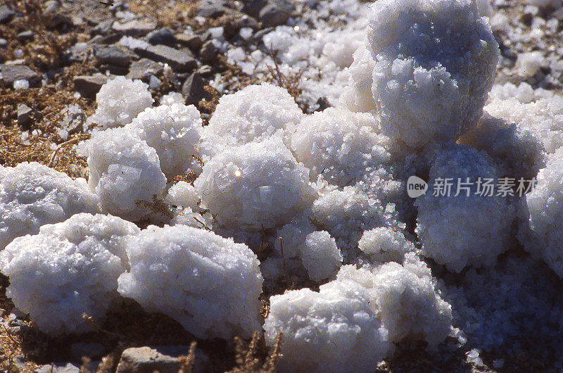 犹他州大盐湖岸边的盐晶体