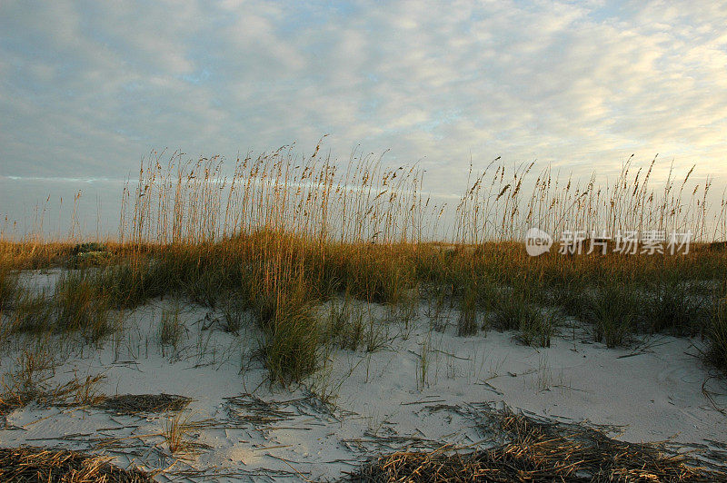 沙丘后面的日落，佛罗里达阿米莉亚岛