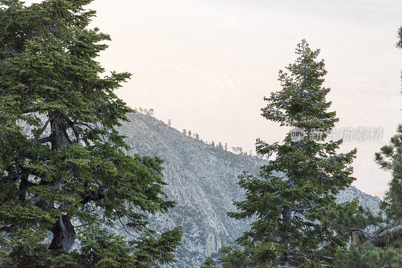 科切拉山谷和棕榈泉