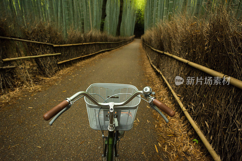 在竹林里骑车的观点