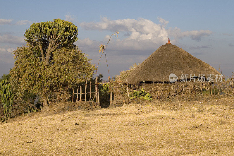 带小屋的埃塞俄比亚风景