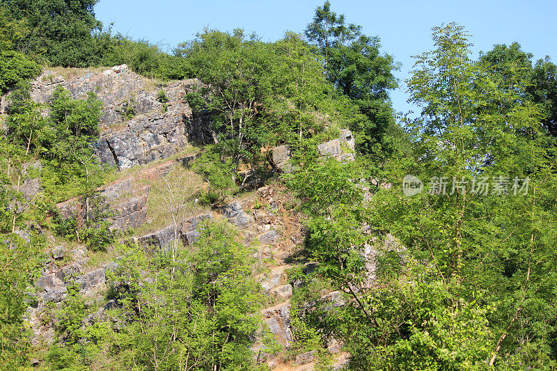 杂草丛生，废弃的采石场与白蜡树(白蜡树excelsior)，水蛭