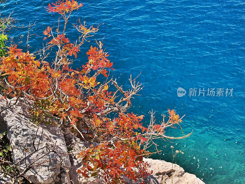 天堂亚得里亚海海岸线