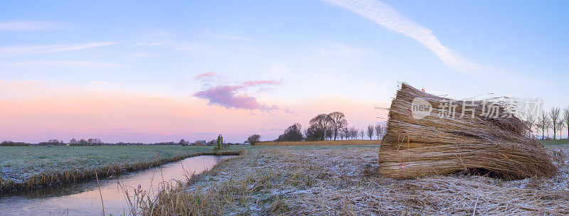 冬季的日出在靠近坎彭的IJsseldelta地区的Zwartendijk