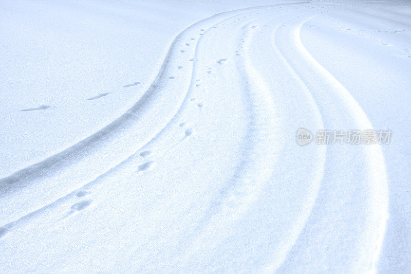 雪地上的足迹