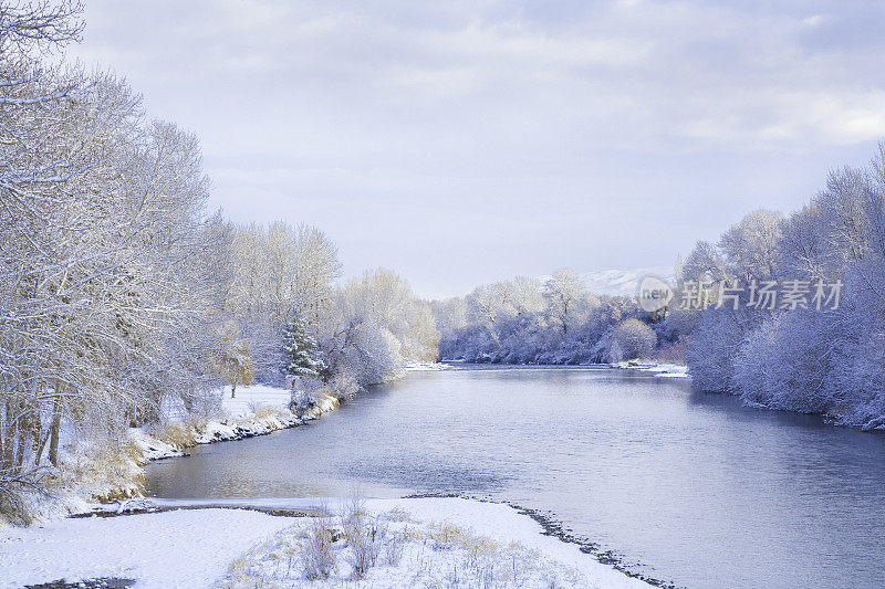 冬日柔和的阳光洒在白雪皑皑的树木和冬日的河流上