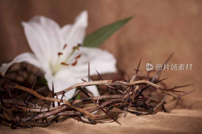 荆棘王冠和复活节百合花