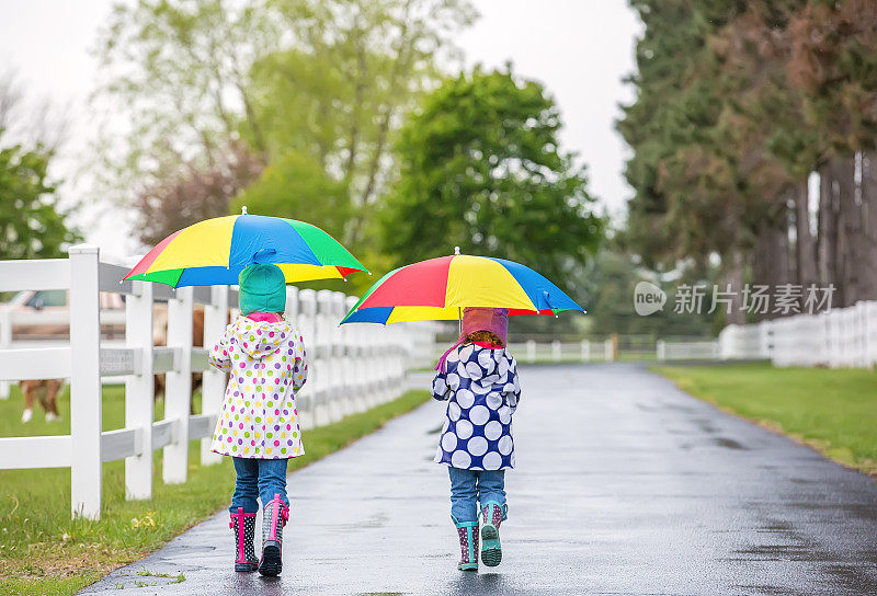 两个小女孩在牧场上撑伞散步