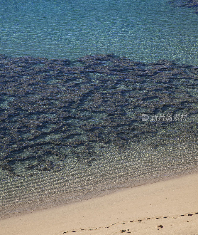 夏威夷哈瑙马湾海滩上的脚印