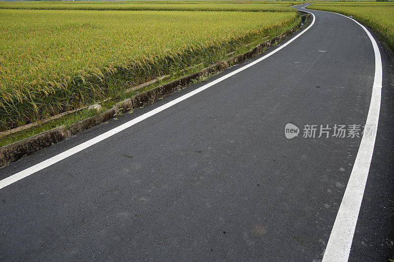 柏油路和绿色稻田