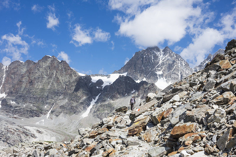 Treeking高山