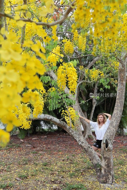 年轻女子和黄色盛开的金链花树。