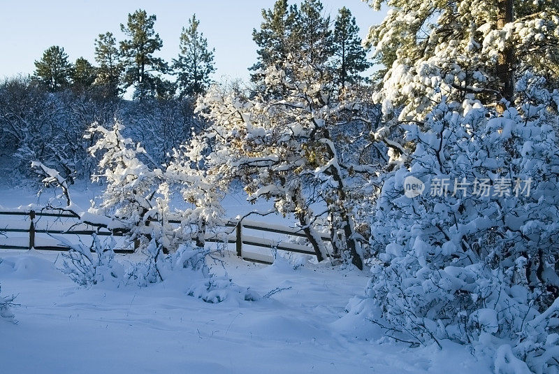 雪栅栏