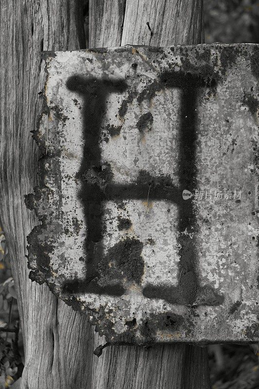 乡村字母H金属喷漆标志挂在树上