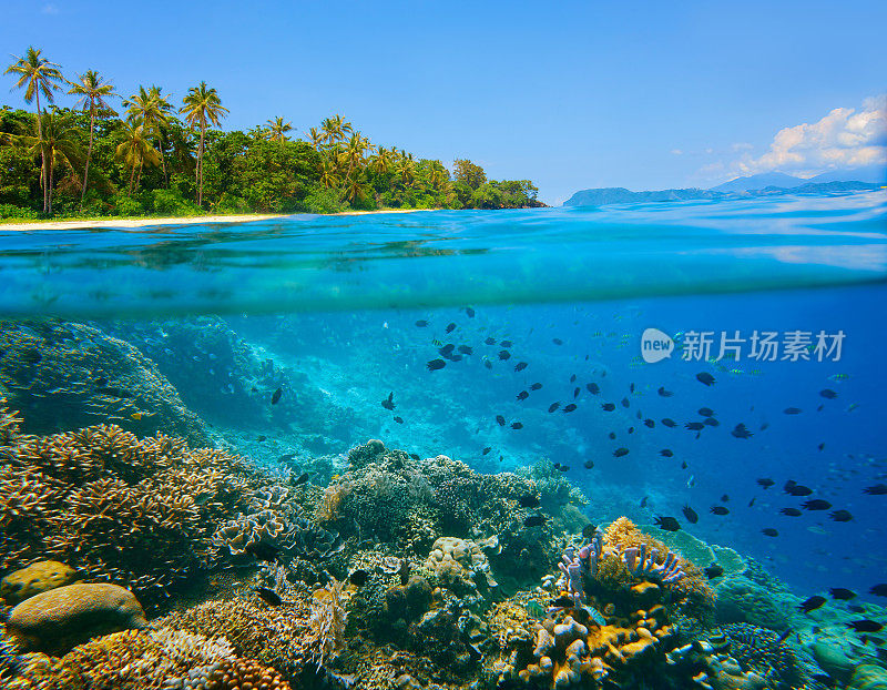 珊瑚礁在热带海洋上的绿色岛屿的背景