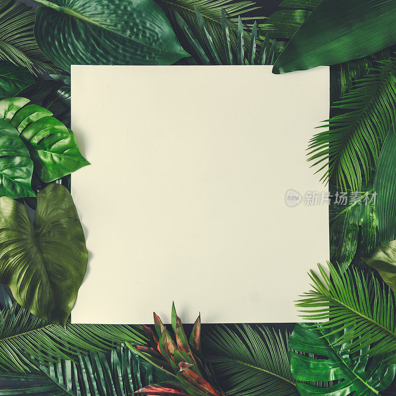 创意自然的布局由热带树叶和花卉与纸卡片便条。平的。夏天的概念。