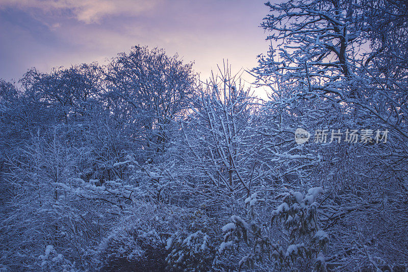 什罗浦郡雪场景