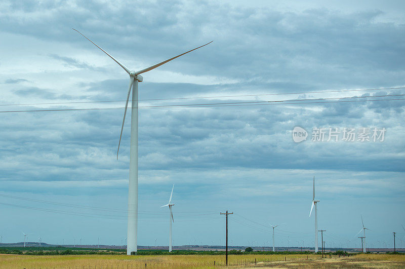 西德克萨斯风电场的风车