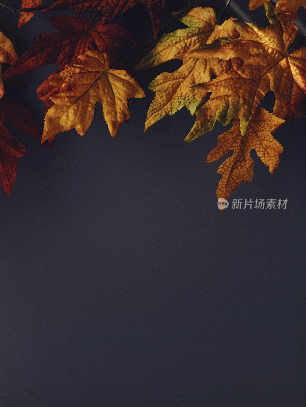 秋天的背景与红色枫叶和灰色的背景