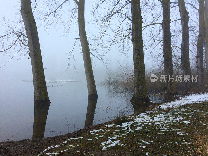 萨尔布鲁公园的雪。威托利亚-加斯泰兹。西班牙