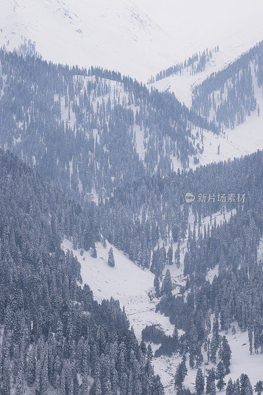 美丽的冬天的风景