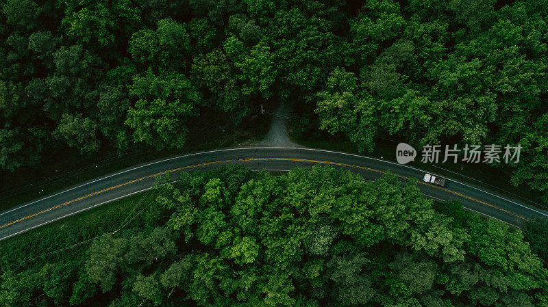 鸟瞰图穿过森林的道路在春天