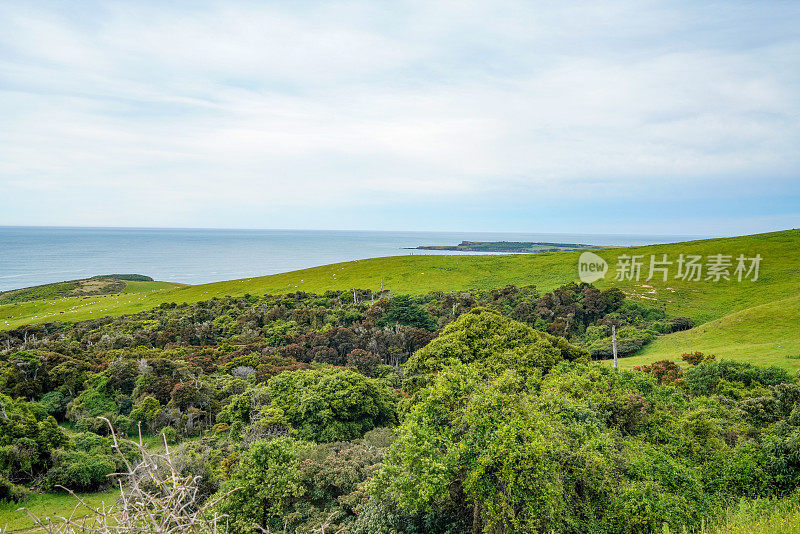 陶图库海滩，骷髅点瞭望台，卡特林，南岛，新西兰