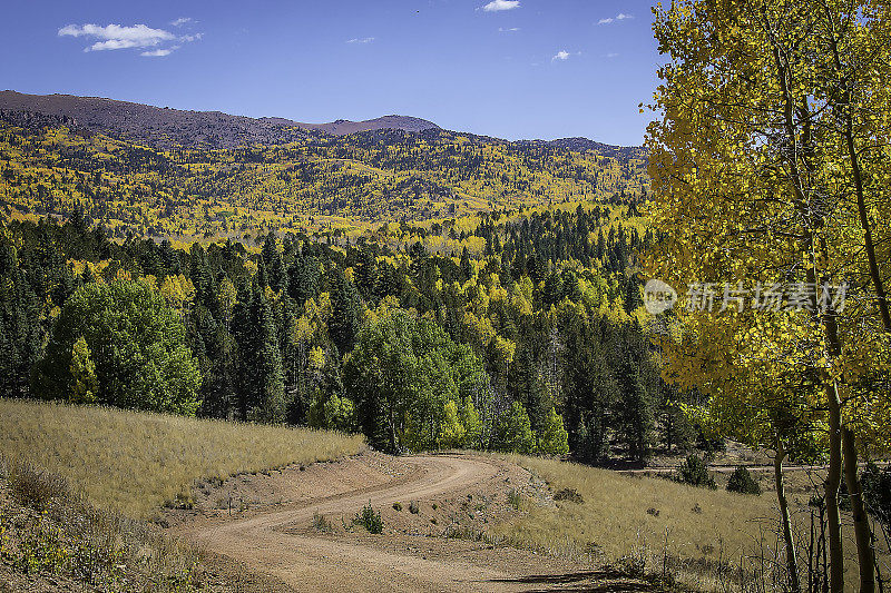 蜿蜒的泥土路穿过秋叶颜色的美国西部山区