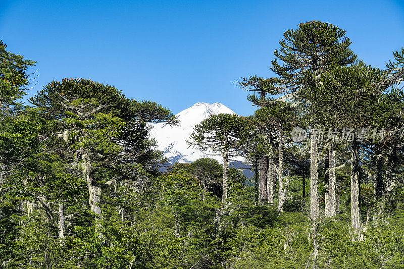 孔吉里奥国家公园的亚伊马火山