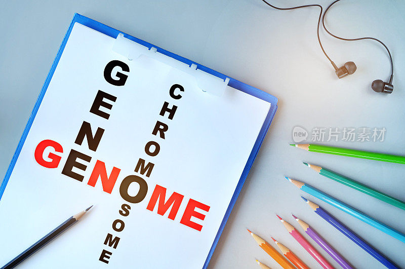 用彩笔在桌上的纸上写基因组、基因和染色体